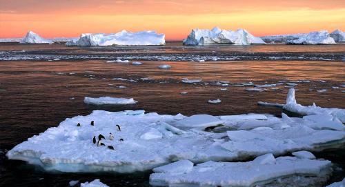Последствия глобального потепления. Что ждёт планету в будущем? 05
