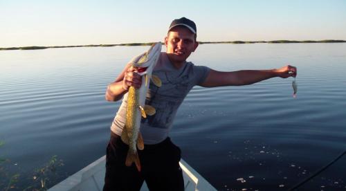 Рыбы Каспийского моря. Рыбалка на Каспийском море