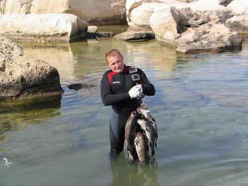 Рыбы Каспийского моря. Рыбалка на Каспийском море