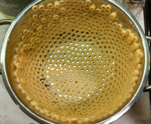 Трипофобия личинки. Теперь можно не бояться: американские психологи установили, откуда берется трипофобия