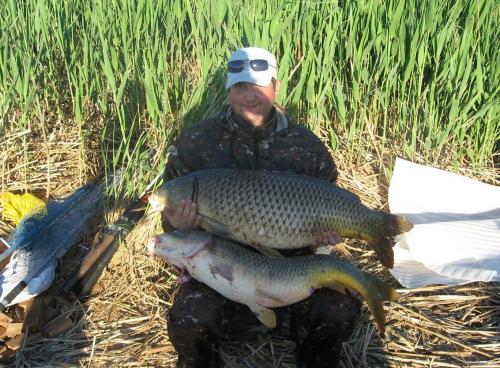 Рыбы Каспийского моря. Рыбалка на Каспийском море