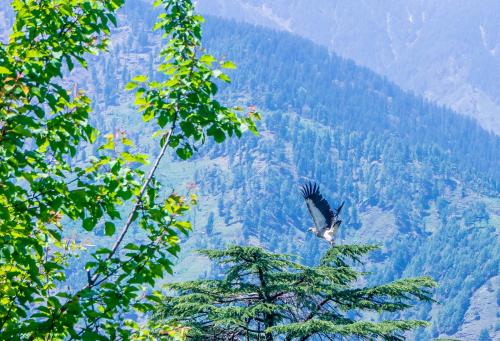 Жизнь в стиле минимализма. Минимализм в жизни и простота досуга