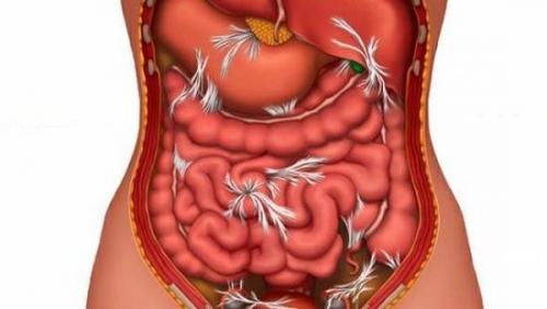 Вздутие живота у женщин. Причины
