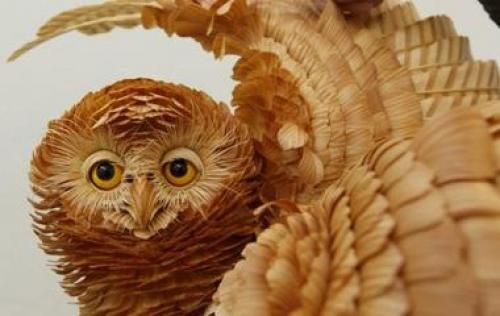 Как видят животные. Как птицы видят этот мир по сравнению с человеческим зрением