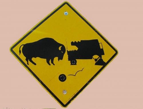 Самые необычные знаки дорожного движения. НЛО, жабы и пьяные люди: ТОП необычных дорожных знаков мира