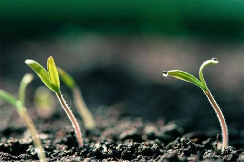 Нужно знать для чего. 20 вещей для развития, которые важно знать каждому