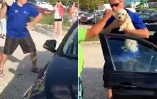 Как видят животные. Как птицы видят этот мир по сравнению с человеческим зрением