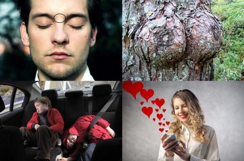 100 слов которые вы не знали. 20 слов, о которых вы не знали