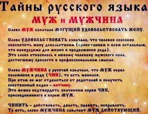 Интересные слова. Необычные слова и их значения