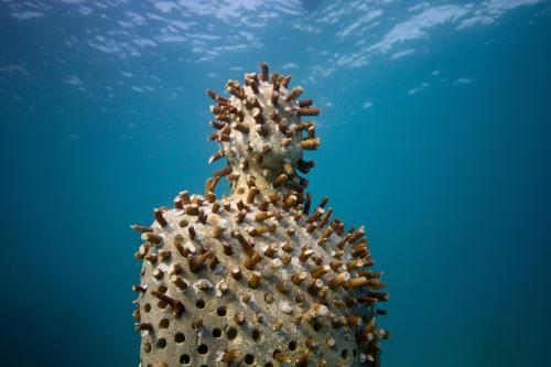 У меня трипофобия. Теперь можно не бояться: американские психологи установили, откуда берется трипофобия