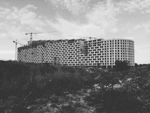 Что такое трипофобия. Если вам сложно досмотреть это до конца, возможно, вы страдаете трипофобией