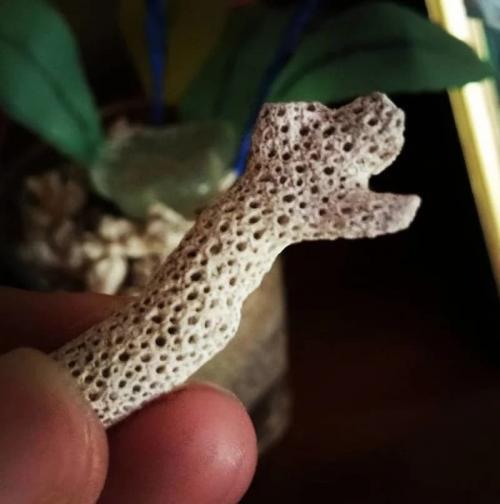 Что такое трипофобия. Если вам сложно досмотреть это до конца, возможно, вы страдаете трипофобией