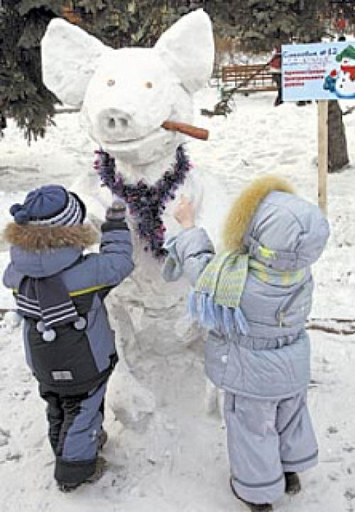 Кровь свиньи и человека. Почему донором человеку стала свинья,а не обезьяна 01
