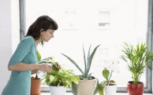 Применение перекиси водорода. Перекись водорода: не лечит, а калечит 06