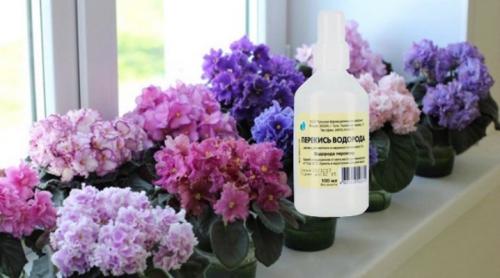 Применение перекиси водорода. Перекись водорода: не лечит, а калечит 08