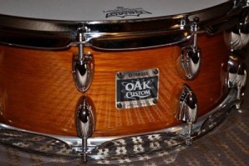 Интересные факты о дубе. Интересные факты о дубах