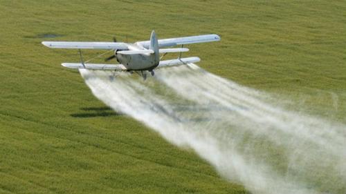 Чем опасна саранча. Нашествие саранчи