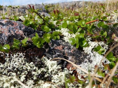 Географический объект это, что. Географический объект 04