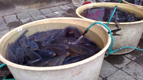 Факты о праге. 40 самых интересных фактов о Чехии