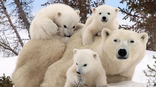 Географический объект это, что. Географический объект 01