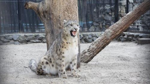 Географические природные объекты. 10 природных объектов в России из Мирового наследия ЮНЕСКО 29