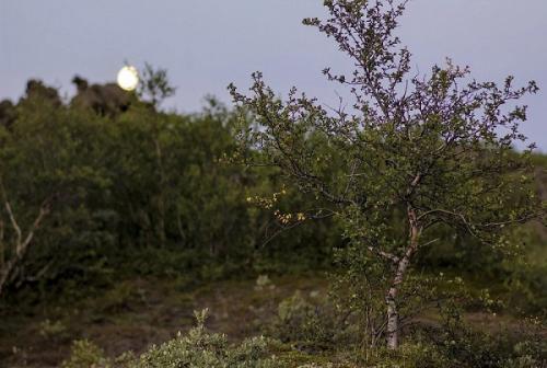 Географический объект это, что. Географический объект 03