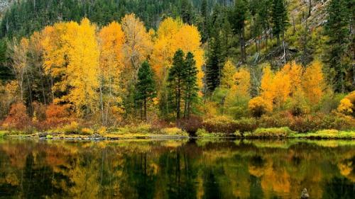 Географический объект это, что. Географический объект 07