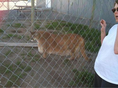 Самые страшные вещи. 15 жутких вещей интернета, которых лучше не видеть 04