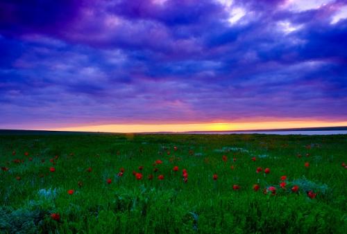 Географический объект это, что. Географический объект 10