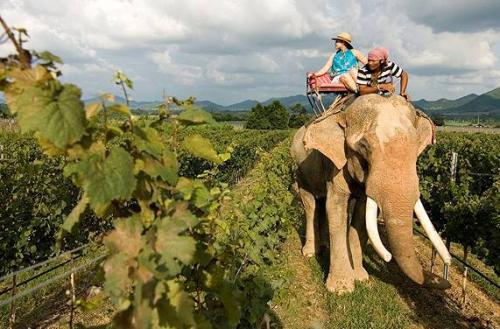 Таиланд особенности для туристов. Особенности отдыха в Таиланде