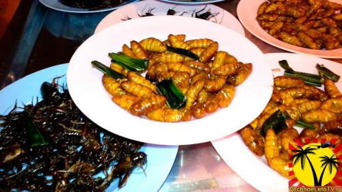 Таиланд особенности менталитета. Тайский менталитет или как общаться с тайцами