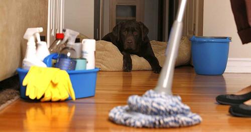 Чем себя развлечь когда скучно дома. Чем заняться дома когда скучно: 11 беспроигрышных идей для борьбы со скукой