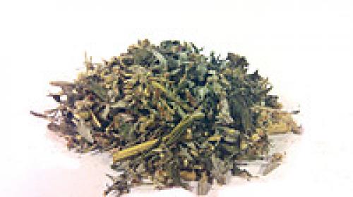 Абсент. Что представляет собой абсент