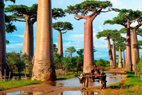 Удивительные острова мира. ТОП-30 КРАСИВЕЙШИХ ОСТРОВОВ МИРА 05