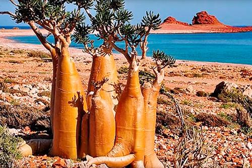 Удивительные острова. ПО ТЕМЕ