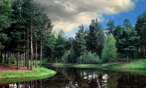 Животные евразии. Животный и растительный мир Евразии: описание обитателей, фото природы Евразии.