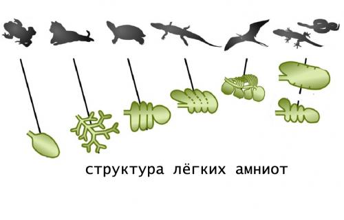 Почему человек от холода дрожит. Резко стало холодно - причины и симптомы? 04