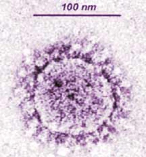 Новый коронавирус из Китая. Статистика распространения коронавируса в Китае н. 2020 05