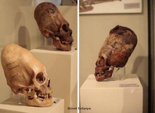 Череп древнего человека вид сбоку. Версии