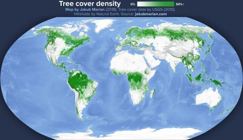 Самые большие в мире леса. Список стран по площади лесов