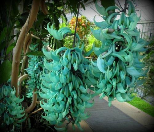 Какие есть на земле супервулканы.  Вулканическая зима 07