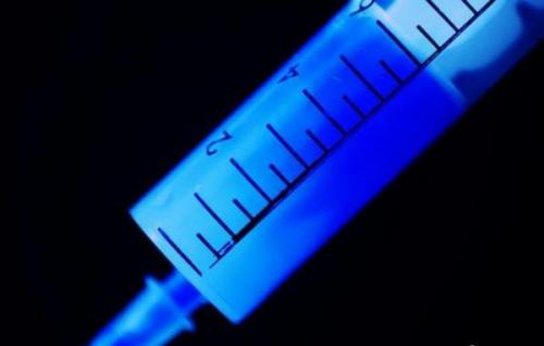 У, какого животного кровь голубого цвета. Животные с голубой кровью