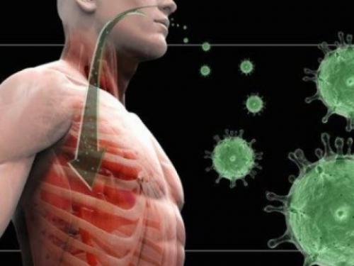 Новый коронавирус из Китая. Статистика распространения коронавируса в Китае н. 2020 06