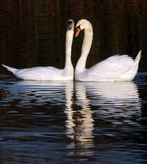 Короткие интересные факты. Очень интересные короткие факты 07