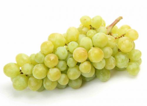 Редкие сорта винограда. Самые вкусные сорта винограда