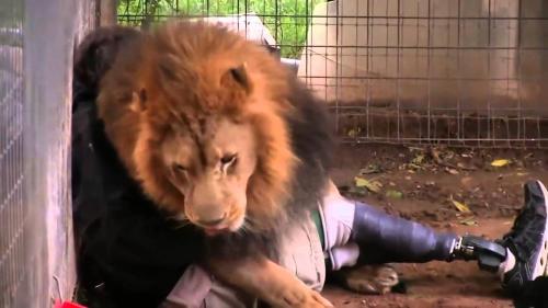 Человек самое опасное животное. Самые опасные животные в Мире