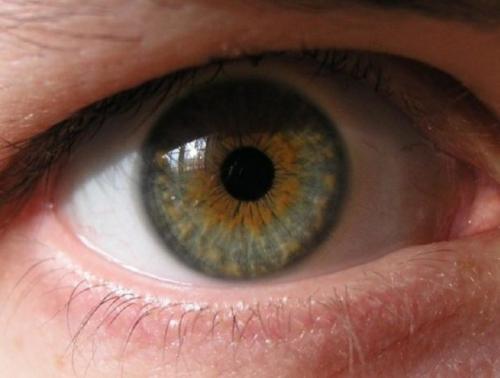 Самый необычный цвет глаз. Самые редкие цвета глаз у человека: 10 удивительных фото