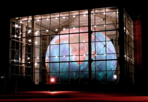 Где находится самый большой в мире лес. Примечательные деревья 01