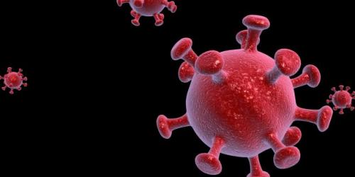 Симптомы коронавируса. Что такое коронавирусы