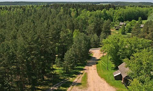 Какой самый большой лес. Список стран по площади лесов 19